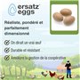 Oeufs Ersatz – Faux œufs de Poule et de volaille réalistes – Imitation d'œufs factices lestés pour nichoirs – Encourage la Ponte