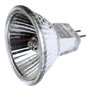 Long Life Lamp Company Ampoule halogène MR11 12 V 10 W Lot de 10