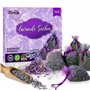 ZIDINA Sachets Parfumés Lavande - 14 Sachets de Lavande Séchée pour Maison