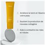 Skin Chemists Crème de Jour au Collagène | Avec Collageneer 1%, Collasurge 1% | 50ml