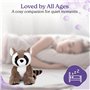 Warmies Raton laveur en peluche - Passe au micro-ondes - Grand format - Doudou chauffant pour enfants et adultes - Parfum lavand