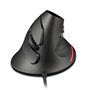 zelotes Souris verticale filaire