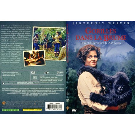 Gorilles dans la brume