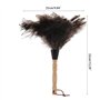 Plumeau en plumes d'autruche avec manche en bois massif pour travaux ménagers