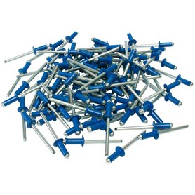 Cora 000116015 Kit de 100 rivets de fixation pour plaque d'immatriculation, Bleu Cora 000116015 Kit de 100 rivets de fixation pour plaque d'immatriculation