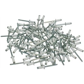 Cora 000116016 Kit de 100 rivets de fixation pour plaque d'immatriculation, Blanc Cora 000116016 Kit de 100 rivets de fixation pour plaque d'immatriculation