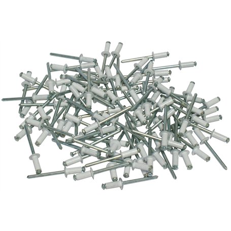 Cora 000116016 Kit de 100 rivets de fixation pour plaque d'immatriculation