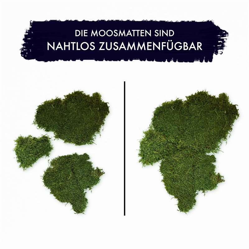 GBC HiClear Pack de 100 Plats de Couverture A4 200 Microns Transparent