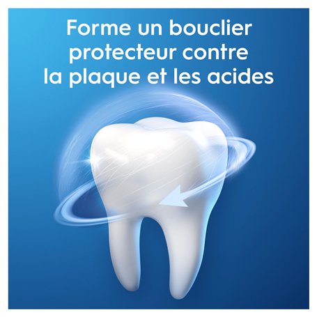 Cressi Water Shoes-Chaussures Unisexe Adultes pour Tous Types d'Activités de Sports Nautiques