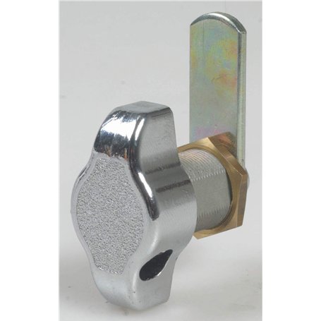 Fermeture verrouillable pour casiers