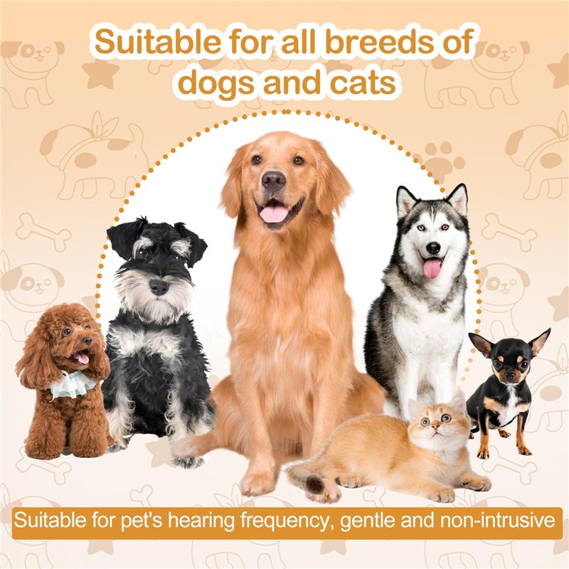 Polo à manches courtes homme Champion Bleu