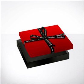 Shorts pour Hommes Champion Noir