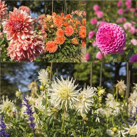 Savon artisanal végétal TEA TREE ET HUILE DE NEEM Bio 2 X 100g Naturalma processus de traitement à basse température végétalien