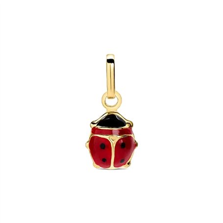 Pendentif Femme Stroili 1410273 Doré Rouge