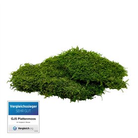 Cartable El Pulpo   Blue marine Kaki 31 x 44 x 18 cm