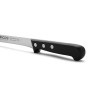 Couteau à jambon Arcos serie universal Acier 24 cm