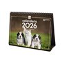 Finocam - Calendrier de bureau 2026 mois vue janvier - décembre 2026 + sept. - Déc. 2025 (4 mois) réduits | Calendrier 2026 | Im