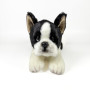 FUNDACIÓN BOCALAN - Peluche Boston Terrier couché 25 cm - + 0 Mois (DeQube 939D00292)