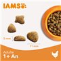 IAMS Advanced Nutrition - Croquettes Allégées – Adaptées aux Chats Stérilisés - Complètes équilibrées - Favorise le Contrôle du 