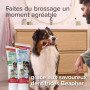 BEAPHAR – Brosse à Dents en Bambou pour Chien et Chat – Anti Plaque & Anti tartre – Nettoyage Complet – Double extrémités – pour