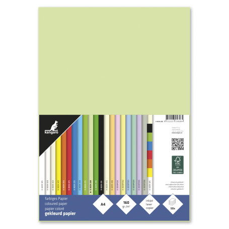 Kangaro Lot de 50 feuilles de papier à lettre vert clair DIN A4 160 g/m² FSC mix – Papier à lettre DIY