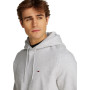 Tommy Jeans TJM Reg S Flag Hoodie Dm0Dm20742 Sweat à Capuche zippé, Grey (Silver Grey Heather), XXXL Men's