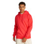 Tommy Jeans Sweat à Capuche Homme Regular Fit Flag Fleece avec Capuche