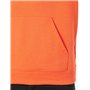 Tommy Jeans Sweat à Capuche Homme Regular Fit Flag Fleece avec Capuche, Orange (Bright Vermillion), M