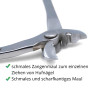 Amesbichler Pince à Ongles recouvrement Acier Inoxydable Sabot Nail Puller zieh Pince | Hoof à Cheval