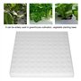 Éponge Hydroponique - 100 Pièces pour Plantation dans Un Outil de Jardinage à Effet de Serre - Semis pour la Culture de Petits B