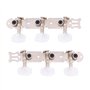 3 + 3 Acrylique Guitare Classique Corde Tuning Peg Tuners Mécaniques Argent avec Vis Accessoires De Guitare pour Guitares Classi