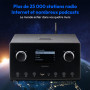 MEDION Poste Radio Internet, Radio Portable Dab et FM avec Fonction WiFi, Bluetooth, Streaming et Spotify, Radio Dab+ avec Fonct