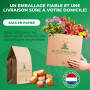 Mélange de Bulbes de Tulipes de Printemps - 50 Bulbes - Tulipes Exclusives des Pays-Bas - 15 Variétés - Rustiques et Vivaces - T