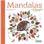 Mandalas C'est l'Automne
