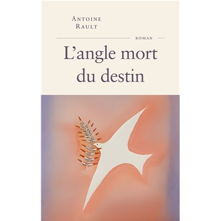 L'angle mort du destin