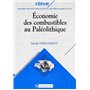 Economie des combustibles au paléolithique 23,48 €