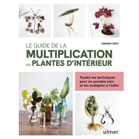 Le guide de la multiplication des plantes d'intérieur - Toutes les techniques pour en prendre soin et les multiplier à l'infini