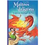 Maîtres des dragons, Tome 04 6,36 €