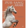 Le pur-sang arabe