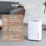 Kalopsia Déshumidificateur d'Air 70L/Jour : Compresseur Électrique Silencieux 40dB｜Capteur Numérique Hygrostat & Minuterie｜Tuyau