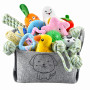 Ousiya Lot de 24 Jouets pour Chiots, Jouets de Dentition pour Chiots avec boîte de Rangement, à mâcher pour Chiens et couinants 