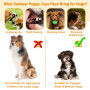 Ousiya Lot de 24 Jouets pour Chiots, Jouets de Dentition pour Chiots avec boîte de Rangement, à mâcher pour Chiens et couinants 
