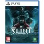 Jeu vidéo PlayStation 5 Microids Flint: Treasure Oblivion Limited Edition