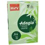 Rey Adagio Ramette de 250 feuilles papier couleur pour imprimante laser/jet d'encre/copieur 160g Format A4 Vert vif