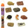 Safari - 684804 - Figurine - Tubo Fossiles