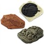 Safari - 684804 - Figurine - Tubo Fossiles