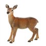 Bullyland - 64422 - Pion - Biche