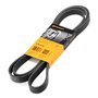 Continental Contitech 6PK2145 Courroie trapézoïdale à nervures