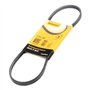 Continental Contitech 3PK750 Courroie trapézoïdale à nervures