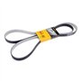 Continental Contitech 6PK2196 Courroie trapézoïdale à nervures
